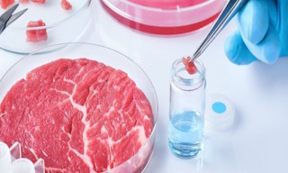 Лабораторный анализ пищевых продуктов по СанПиН в Луховицах в октябре