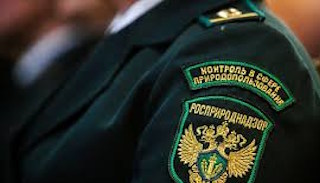 Подготовка к проверке Росприроднадзора в Луховицах от ПромМир, стоимость услуги от 20690 руб.